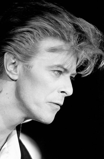 #RIPDavidBowie https://t.co/p1jJmikzwr<a href="/tag/ripdavidbowie"class="tags">#RIPDavidBowie</a>