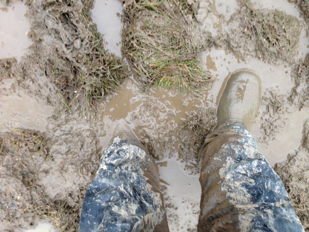 TopOfTheTower's tweet photo. Plenty of material for office banter this morning! #Mudplugging #OfficeBanter #LeoNultyPromotions #Mud #Wicklow https://t.co/7mTSwBgyMw