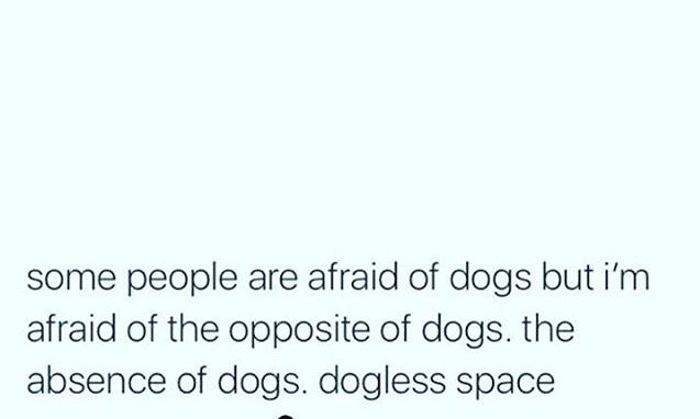 shannacohoon's tweet photo. Dogless space is not a space I want to be in https://t.co/hwL3MULxUh