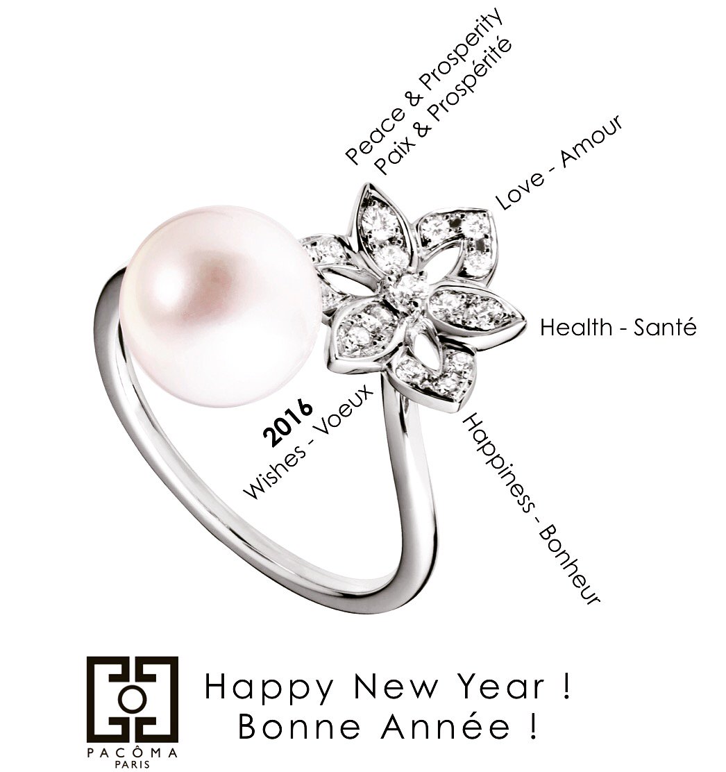 PacomaParis's tweet photo. #BonneAnnee #2016 https://t.co/94DO2jN8GU