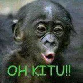 cd n cawet hot (@cabul_cabul45) on Twitter photo 