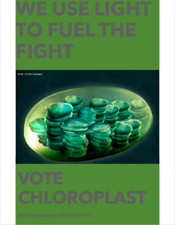 sunlightsavages's tweet photo. Vote Chloroplast! #celection16c https://t.co/WwjOhDudTa
