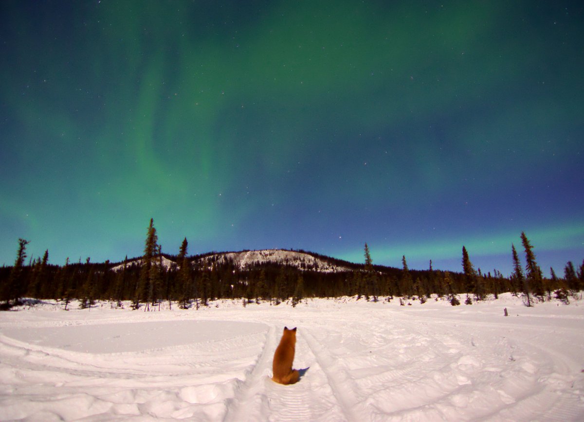 THE STARS LOOK VERY DIFFERENT TODAY