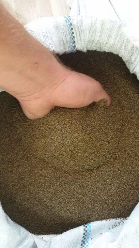 seeds_alfaalfa (@seeds_alfalfa) on Twitter photo 