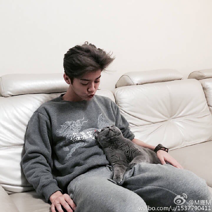 ohmydeer0420's tweet photo. "Luhan isn't trying to kiss his cat but just calling his cat "zhu""

HAHAHAA https://t.co/t5ubcE1i6g