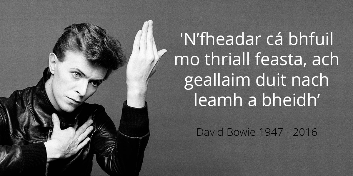 Tuairisc tweet media