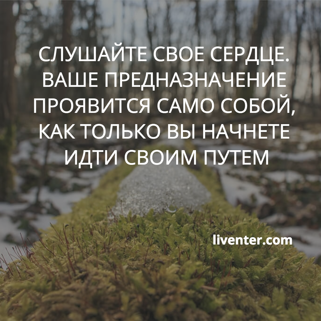 liventercom tweet picture