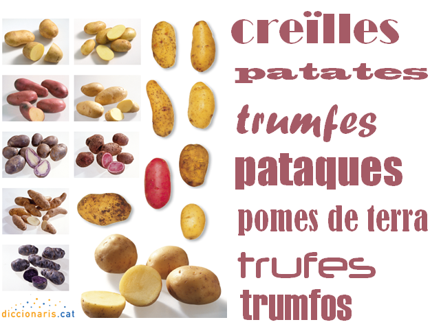 Diccionaris_cat's tweet photo. Pataques, trufes, patates? Via @nuvol_com @GriseldaOliver https://t.co/DPuxfYOvmk #PALDC #LarousseGastronomique https://t.co/2dpJSPyalO