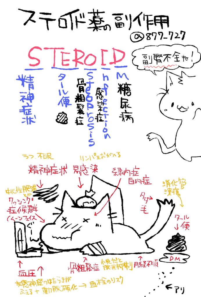 看護師のかげさん イラスト看護帖書籍化 Twitterissa ステロイド薬の副作用ゴロ 薬理学 経口薬治療ではプレドニゾロン Psl ステロイドホルモンはpsl換算で2 5 5mg程度が生理的に分泌されている ステロイドパルス療法 ステロイド離脱症候群 かげ看