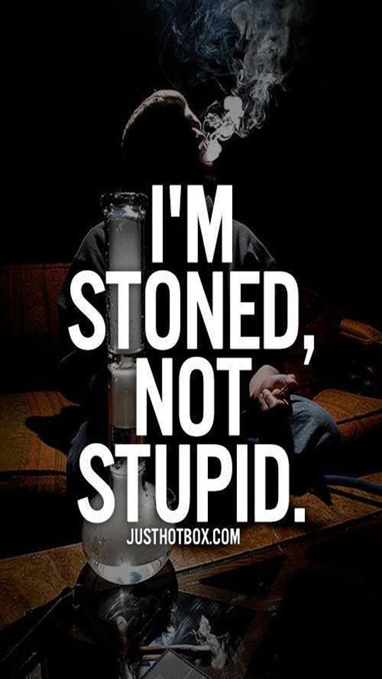 FreeMrWeed's tweet photo. #stoned #notstuipd #FREEMRWEED #FOLLOWME #TEAMFOLLOWBACK https://t.co/t6vclT550l