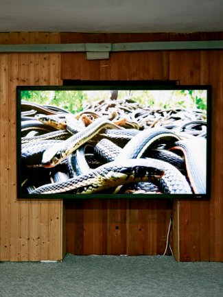ArtinAmerica's tweet photo. Freak formalism & piratical punkery in "Rum, Sodomy and the Lash" #edeneden @travisjeppesen https://t.co/AinOtK6HFl https://t.co/EdbGmkgUL0