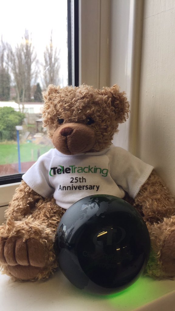 ClareNash20's tweet photo. @TheRealTeleBear hello from UK - missing you but have a lovely new owner @ClareNash20 https://t.co/z7w78UfzW4