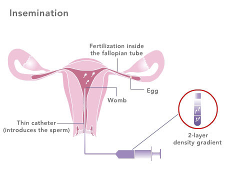 FredroyRoy's tweet photo. #trollingbio https://t.co/ADAjcXoIo0
