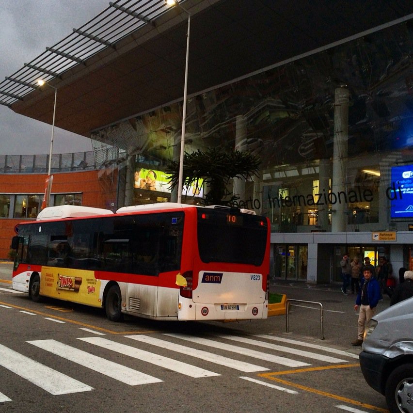 she_studios's tweet photo. The Alibus now departs from in front of the #Naples Airport departure terminal (due to construction) #shorterwalk https://t.co/zQNBJ785pT