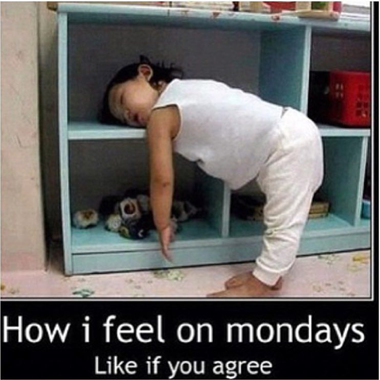 MemesHive's tweet photo. Me today. Anyone else? Tag a Monday lover https://t.co/B456jXUXER