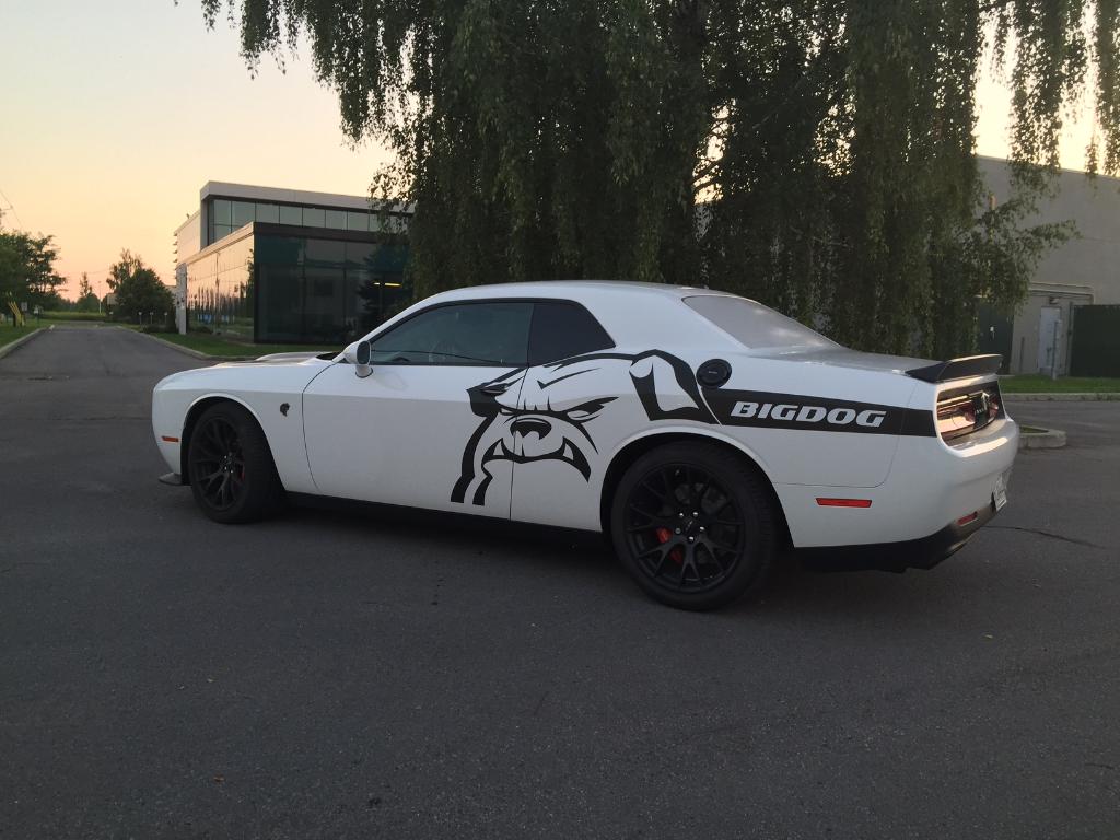 This cat runs with the big dogs. (Photo credit: Anthony F.) #ThatsMyDodge #Challenger