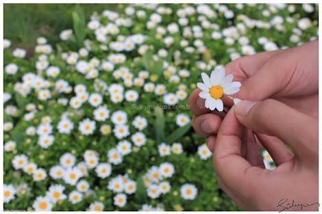 #Felsefeye2000atama #FelsefeGrubuDersleriZorunluOlsun Atanıyor,atanmıyor,atanıyor,atanmıyor.... @hmzaydg