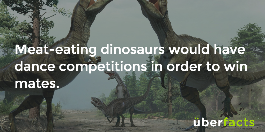 UberFacts's tweet photo. Oh! https://t.co/KeZ6rDqMqc
