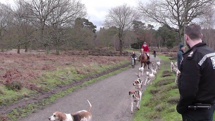 GuildfordSabs's tweet photo. The Surrey Union found it difficult to lose our bike sabs at the weekend! #mountainbiking #KeepTheBan https://t.co/CaRvAyoaYO