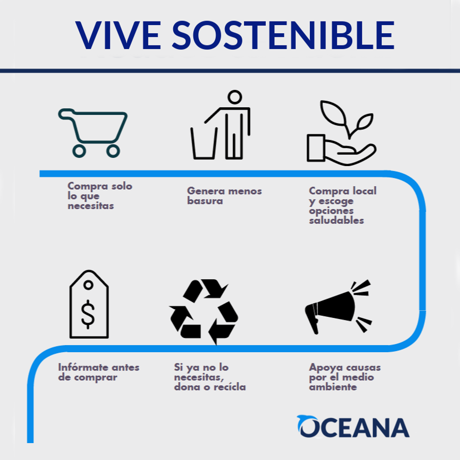 Oceana_Peru's tweet photo. Cada día, todos podemos hacer mucho por nuestro planeta: ¡Pon en práctica estos consejos! #ecotips https://t.co/Url0Pt1Vdt