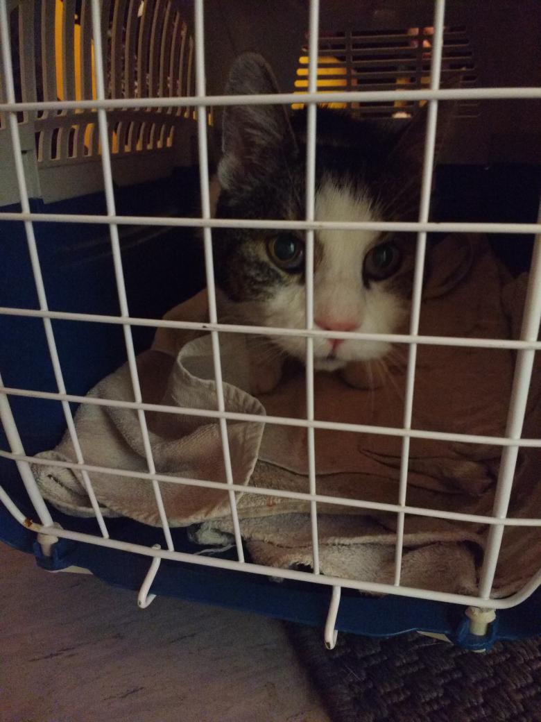 Auf zum Tierarzt
Gute Besserung 😞