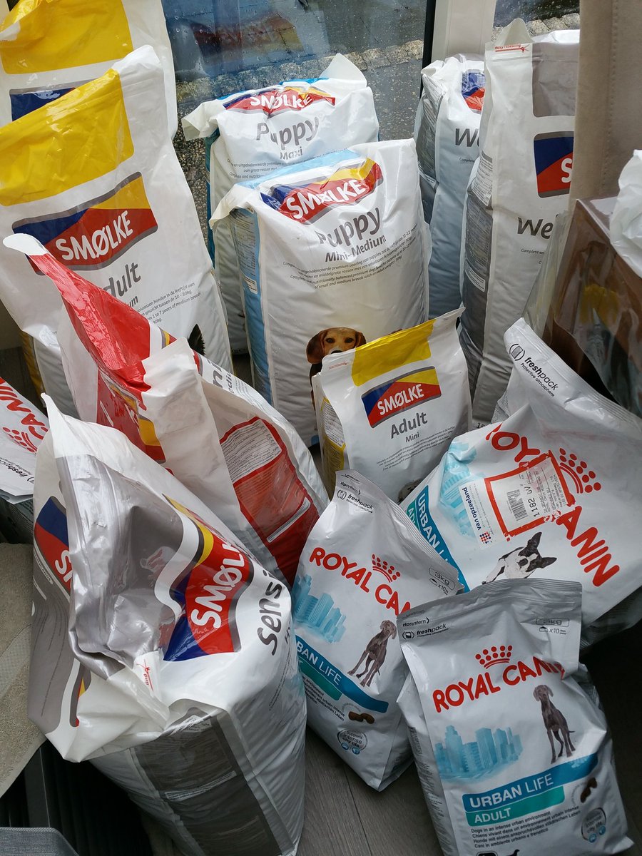 SHelpElkaarMaas's tweet photo. Een kleine selectie van een geweldige donatie van @asielbruchem Wauw! Ontzettend bedankt! #sthem #donatie #dankbaar https://t.co/d1OKYwMVPT