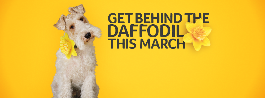 mariecurieuk's tweet photo. It's the Great Daffodil Appeal this March and we need YOU. Join in and #getbehindthedaff https://t.co/YLWwtsURqv https://t.co/kXRDYFzZjs