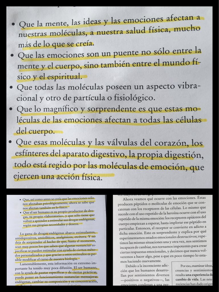 szMonique's tweet photo. Cuidando nuestras emociones, también cuidamos nuestra salud . "El laboratorio del alma" Stella Maris Maruso https://t.co/OGwuf3Scsw