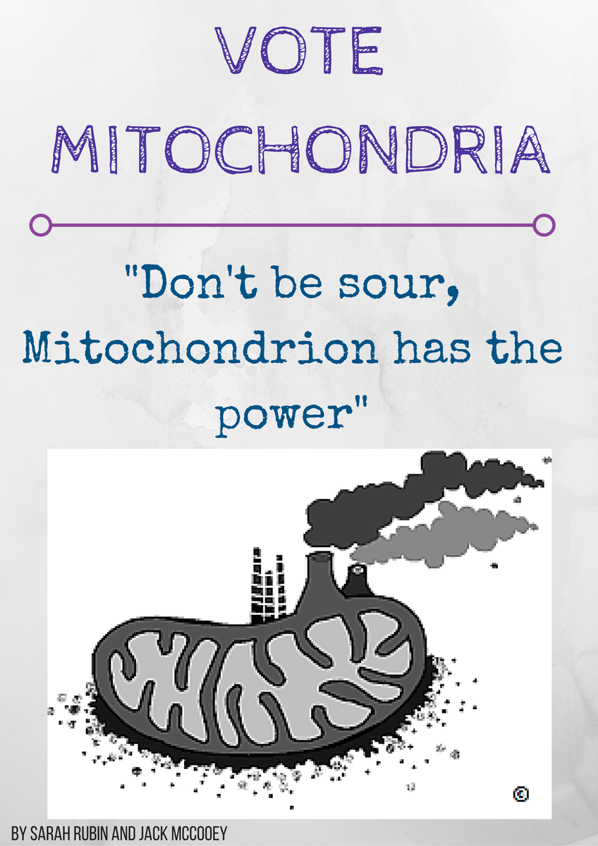 MIGHTochondria1's tweet photo. Poster for the campaign! #cellection16c https://t.co/oWICgAAl6C