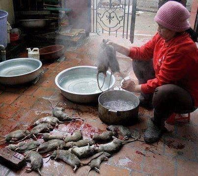 spitjolitjos's tweet image. Hunger, strikes