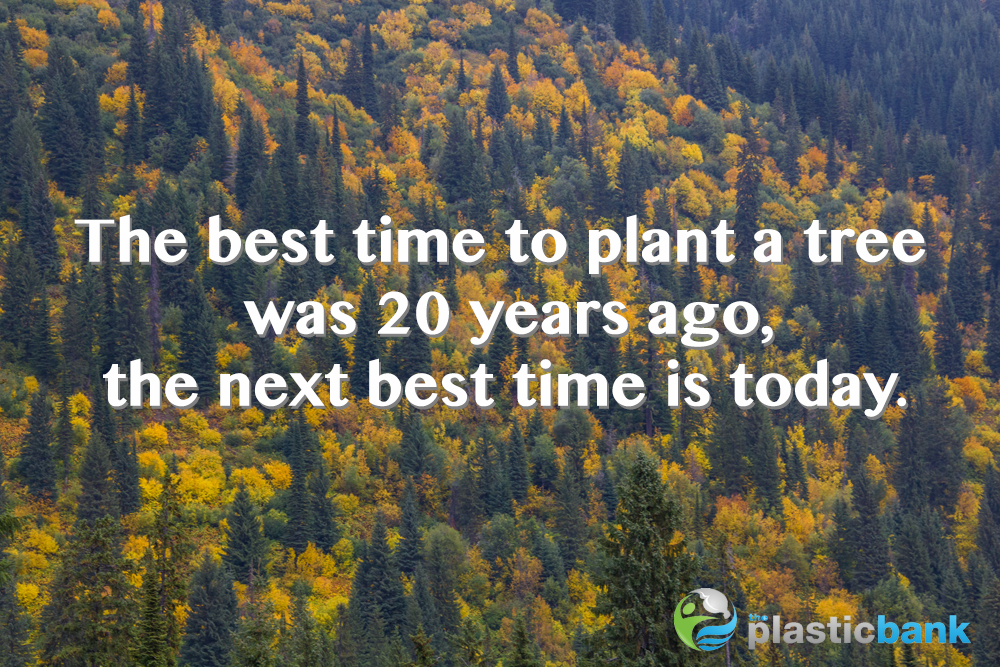 PlasticBank's tweet photo. The best time to plant a tree was 20 years ago, the next best time is today. https://t.co/x7mTQuJqgj