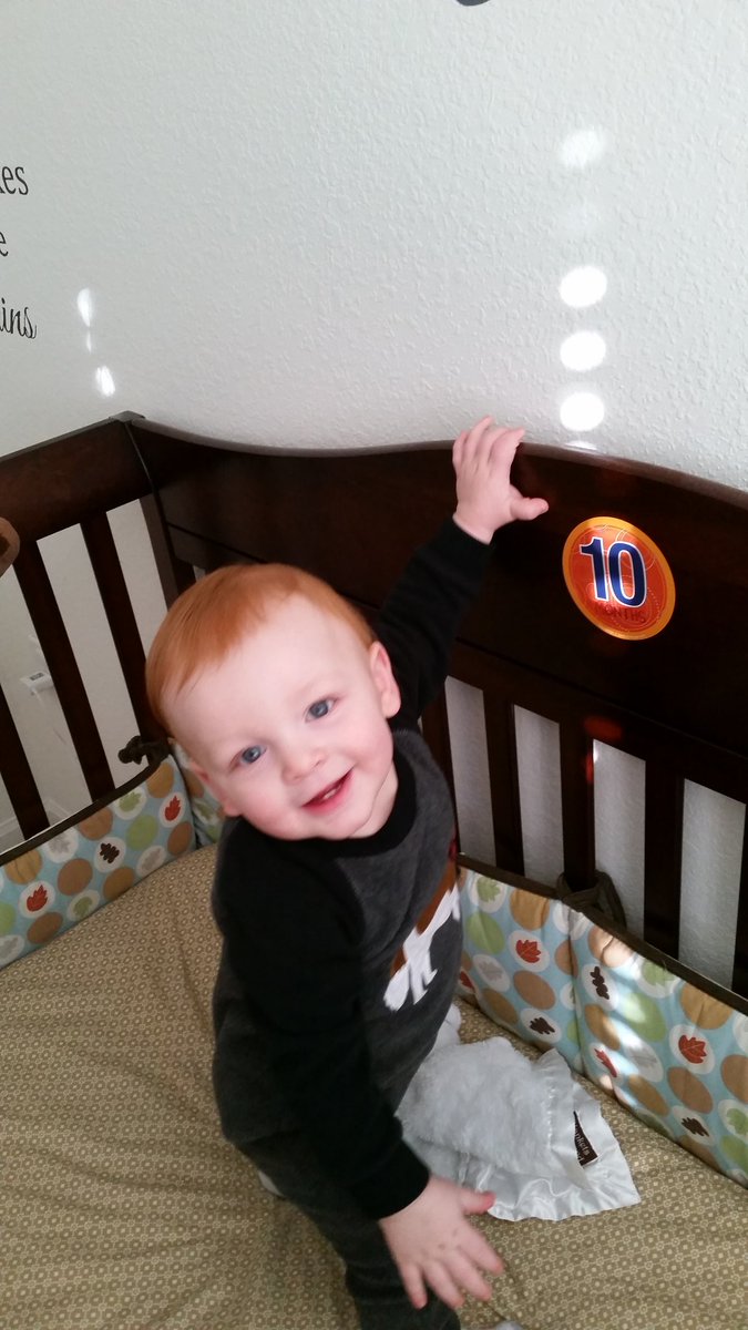 Scootnurse's tweet photo. This cuddly one is growing up too fast! #seepreviouspost #10monthsandgrowing #fullofadventure https://t.co/Dz4AZbl9Uz