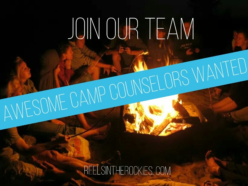 What makes a great #camp is a great team. We have some of the best..Join us today! #irishdance #RITR 2016