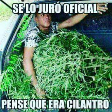 TOC588's tweet image. 0-o