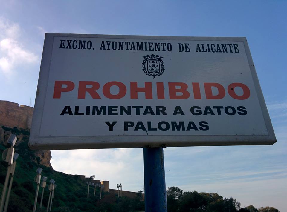 Triste cartel, triste ciudad #Alicante. Yo #NoVolveréAlicante hasta que borren la prohibición #gatos #defensaAnimal