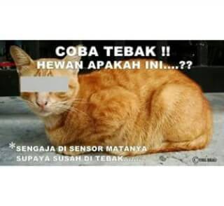 Mungkin beruang kutub kali😁