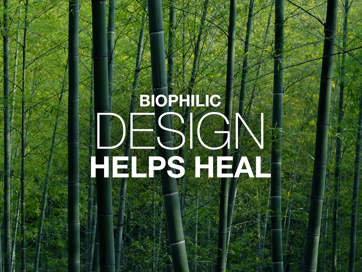 human_spaces's tweet photo. The future of #wellbeing depends on #nature. Find out more about #BiophilicDesign at https://t.co/Vgy82XeV37 https://t.co/ZPyehp8y3n