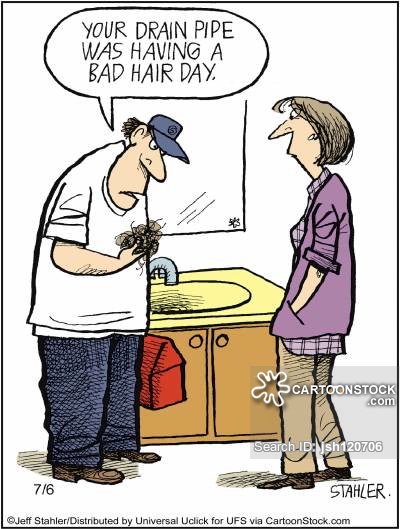 GetARMS's tweet image. Bad hair day? #getarms #solanocounty #armsrooter