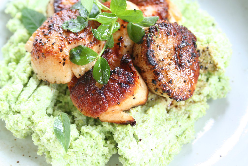 scallops with pea puree soupandmuses.com/scallops-with-…