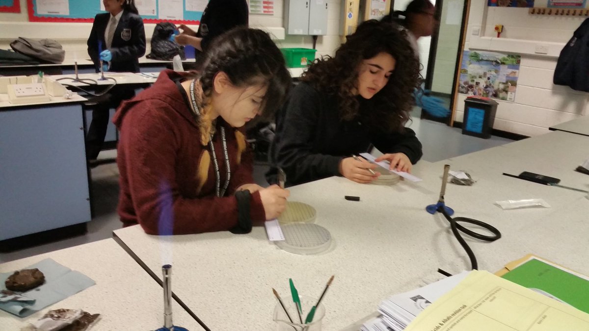 inTuitionBio's tweet photo. ichip session today #smallworldscience #ichips #week3 https://t.co/7GETKeoeOO