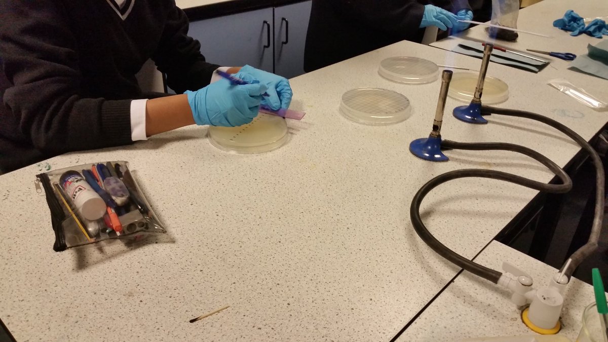 inTuitionBio's tweet photo. ichip session today #smallworldscience #ichips #week3 https://t.co/7GETKeoeOO