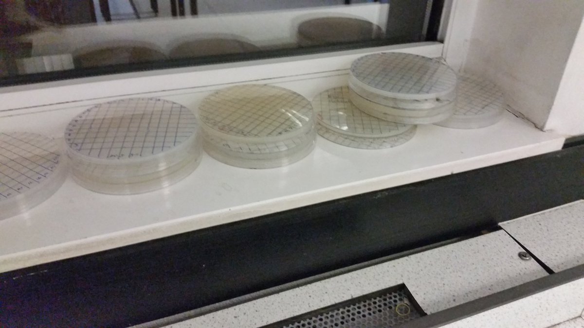 inTuitionBio's tweet photo. ichip session today #smallworldscience #ichips #week3 https://t.co/7GETKeoeOO