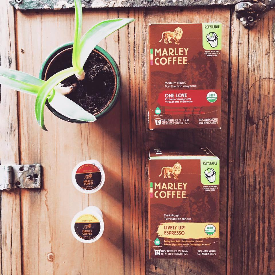 bobmarley's tweet photo. #Recyclable #Compostable #Organic #Delicious.. @marleycoffee #EcoCup pods, redefining the term "drink responsbly" https://t.co/QMk81ARZ5O