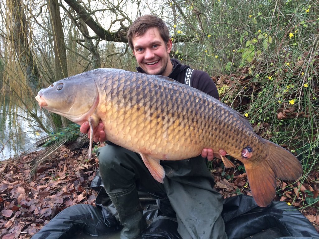 ratethecatch's tweet image. #ratethecatch #ratemycatch #fishermen post your best! Mr Buczysnki sent us this monster from the uk.