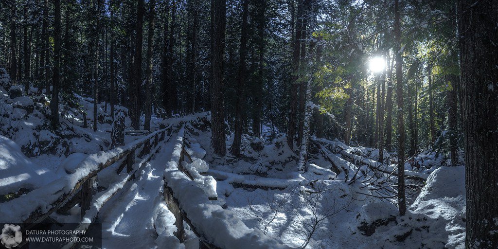 Project2663's tweet image. Photo of the Day for 1/11/16

#lenalakes #snow #bridge #winterhiking #trail #winter… photodatura.wordpress.com/2016/01/11/pho…