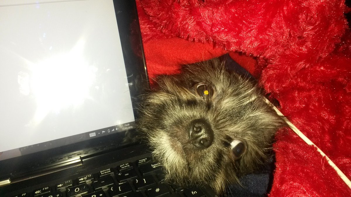 eeePudd's tweet image. Always has to be involed ♡