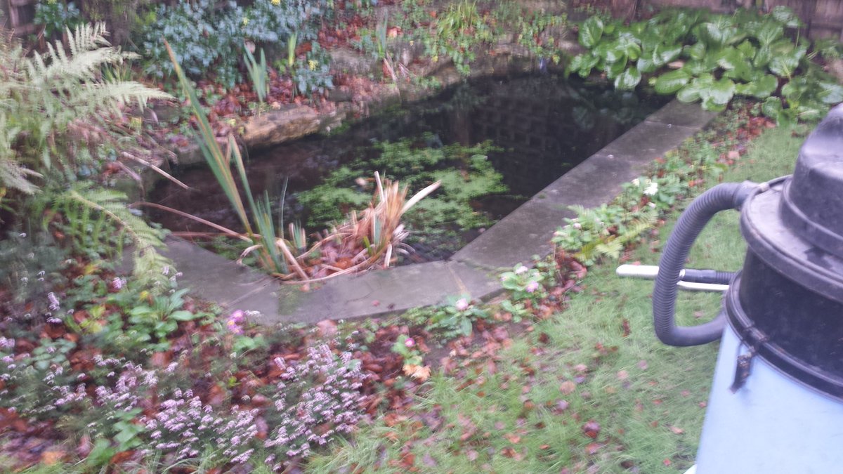InfoAqm's tweet photo. After emptying the pond we found 4 old pvc pond liners, soil arrived and start of infilling the hole.#qualitysoil. https://t.co/aGh6nWZ3sD