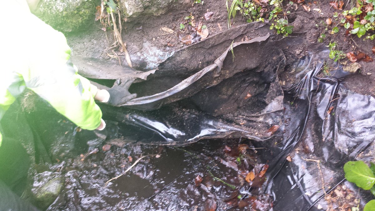 InfoAqm's tweet photo. After emptying the pond we found 4 old pvc pond liners, soil arrived and start of infilling the hole.#qualitysoil. https://t.co/aGh6nWZ3sD