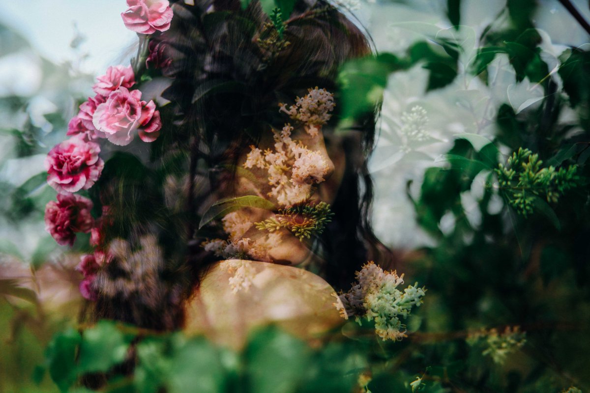 Kristine Petersone tweet media