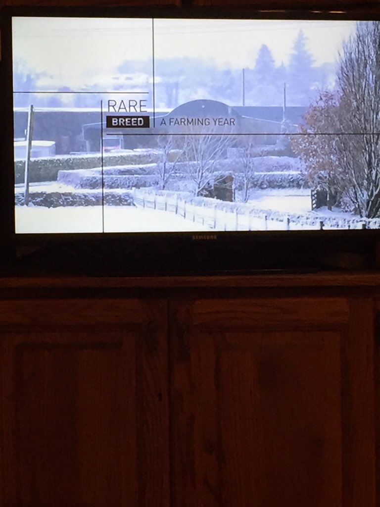 FarmQuotes's tweet image. It's back! #RareBreed @UTVIreland